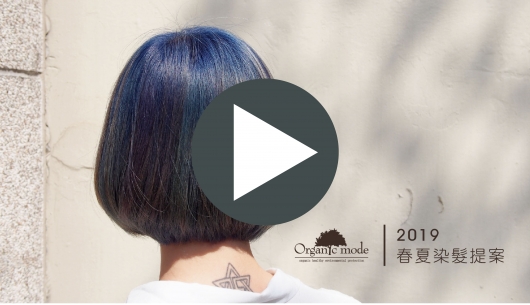  2019 Spring and summer hair dye proposal